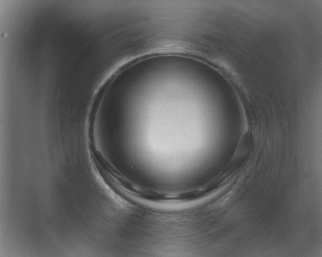 X0000071331422200606261235