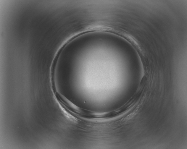 X0000071331430200606261235