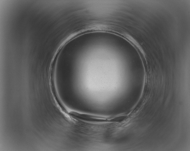X0000071331437200606261235