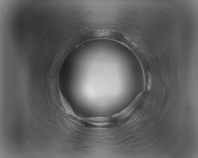 X0000071331441200606261234