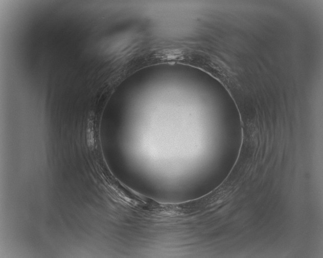 X0000071331442200606261234