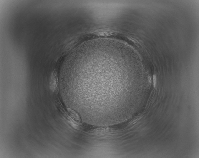 X0000071331444200606261234