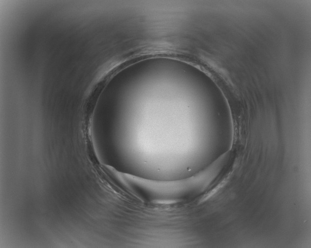 X0000071331453200606261234