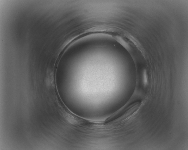 X0000071331465200606261234