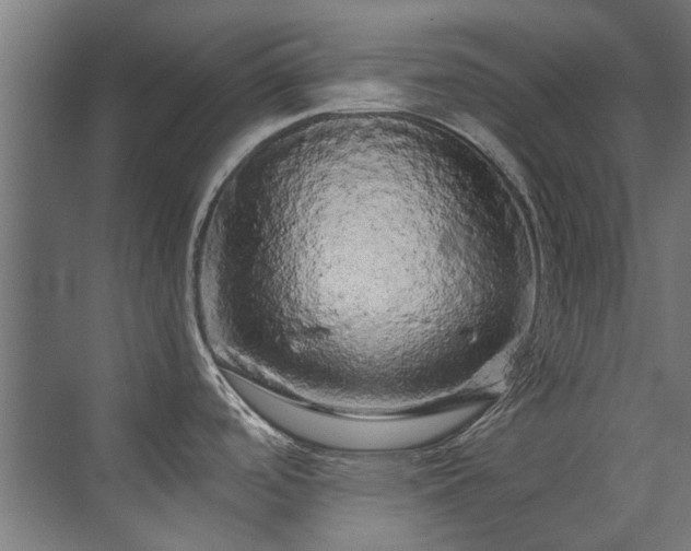 X0000071331488200606261234