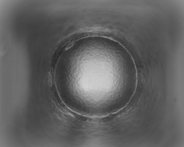 X0000071331493200606261233