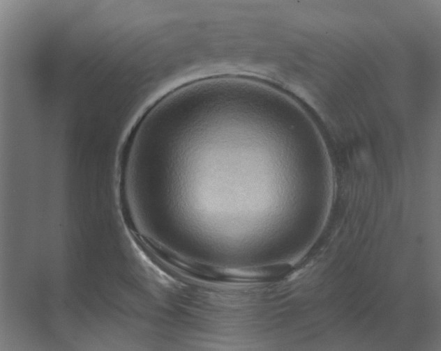 X0000071331508200606261233