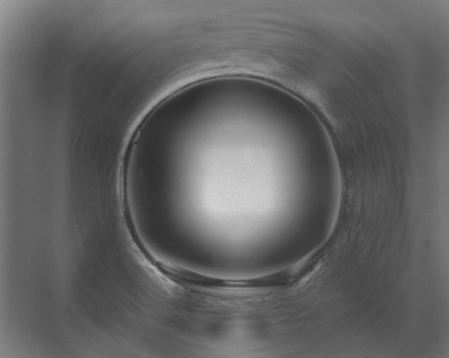 X0000071331516200606261233