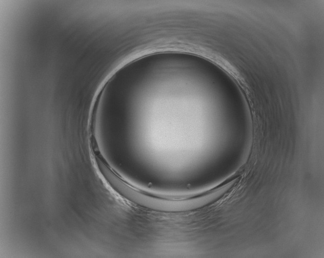 X0000071331536200606261234