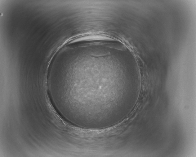 X0000071330002200606301612