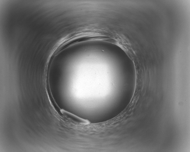 X0000071330003200606301612