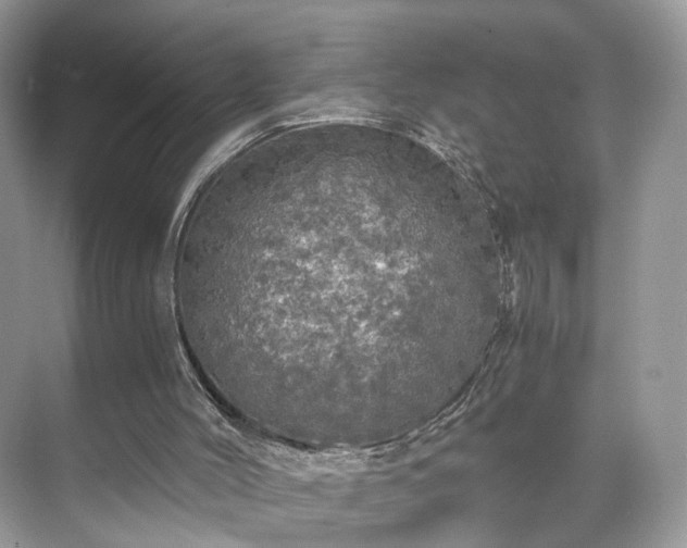 X0000071330004200606301612