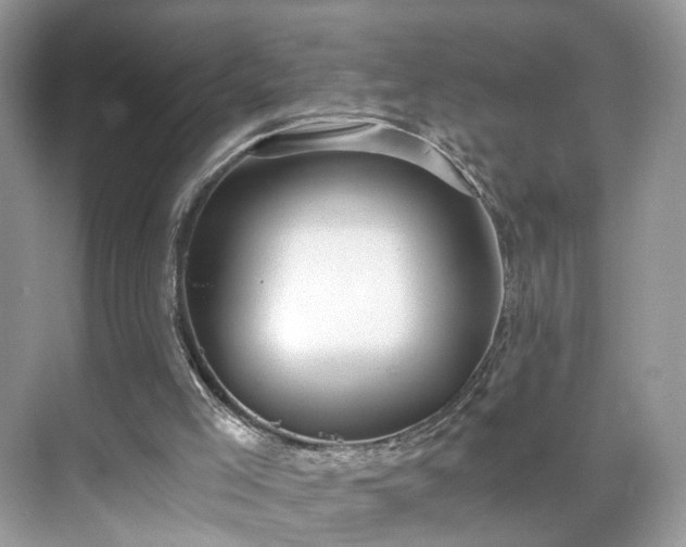 X0000071330005200606301612