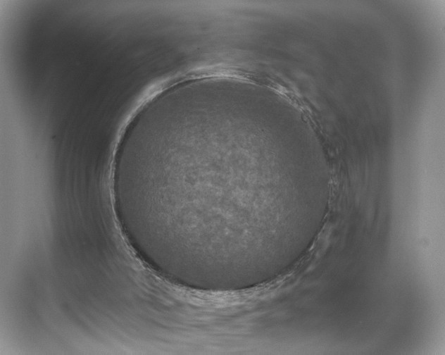 X0000071330006200606301612