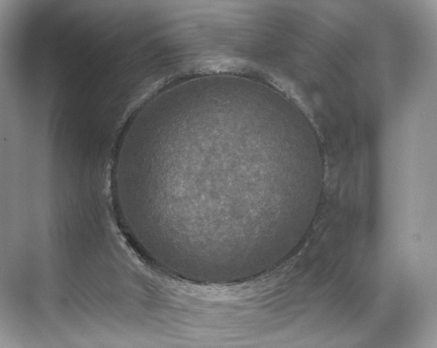 X0000071330010200606301612