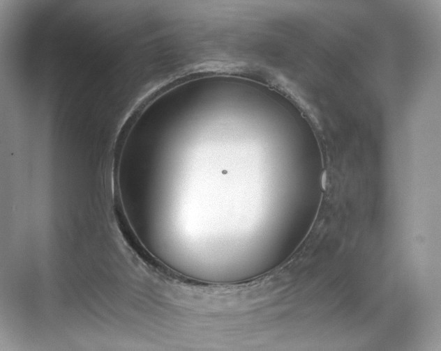 X0000071330011200606301612