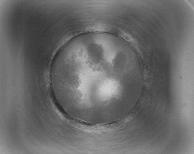 X0000071330012200606301612