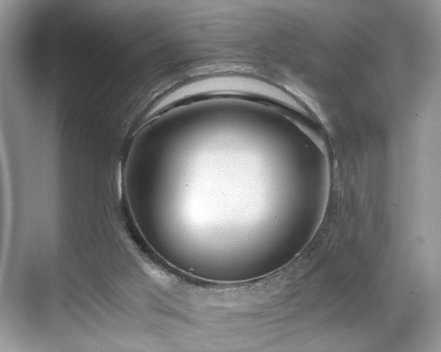 X0000071330013200606301612