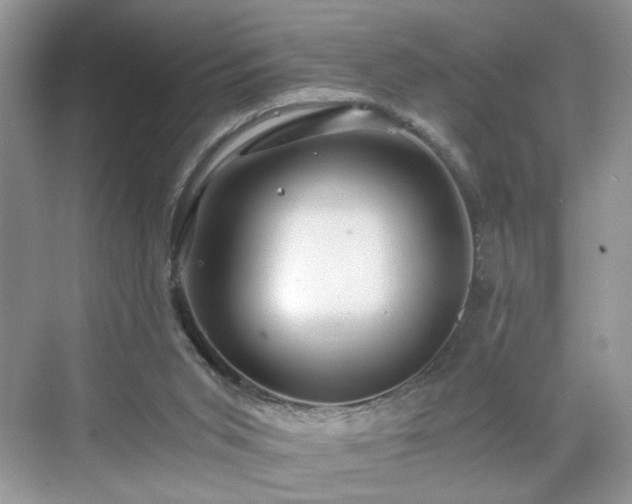 X0000071330015200606301612