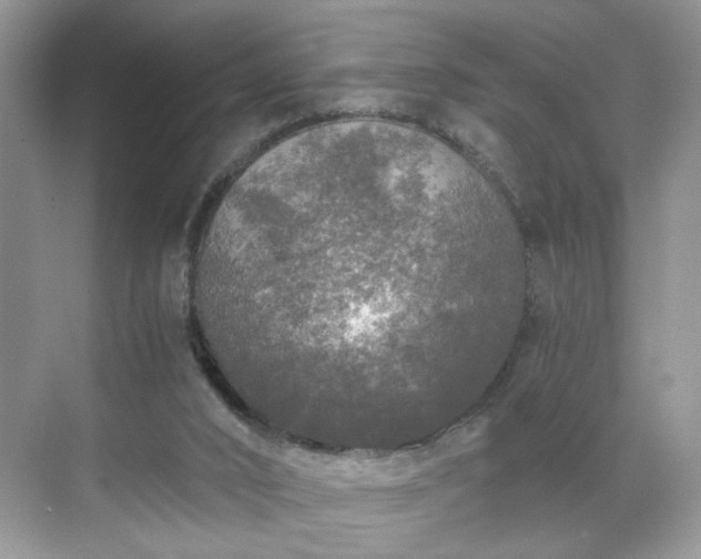 X0000071330016200606301612