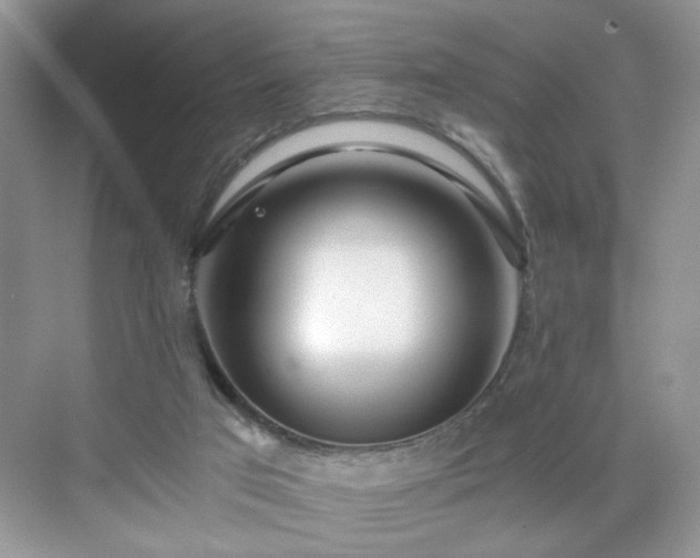 X0000071330017200606301612