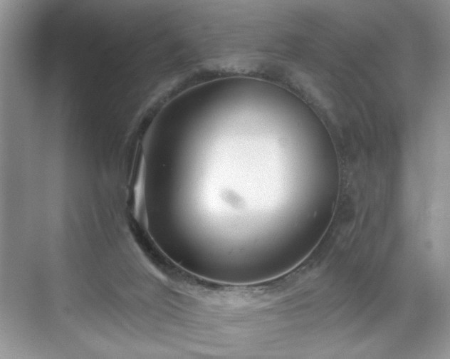 X0000071330020200606301612