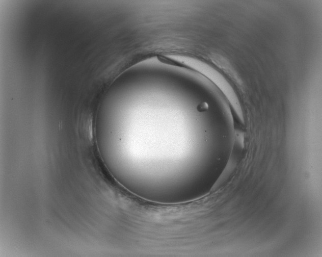 X0000071330021200606301612