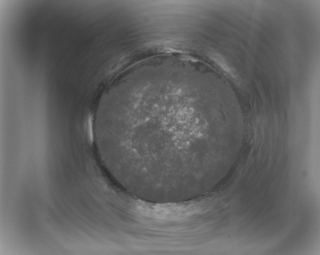 X0000071330022200606301612