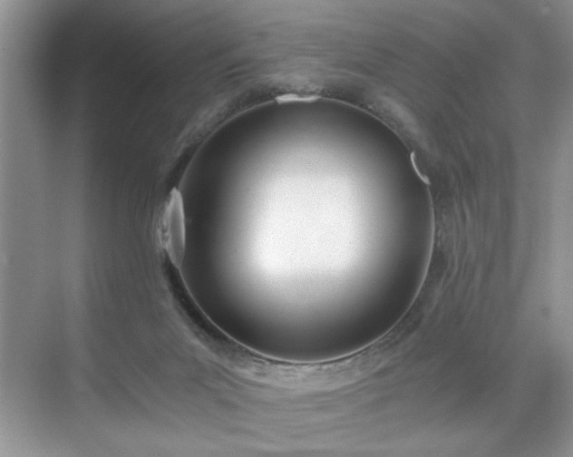 X0000071330023200606301612