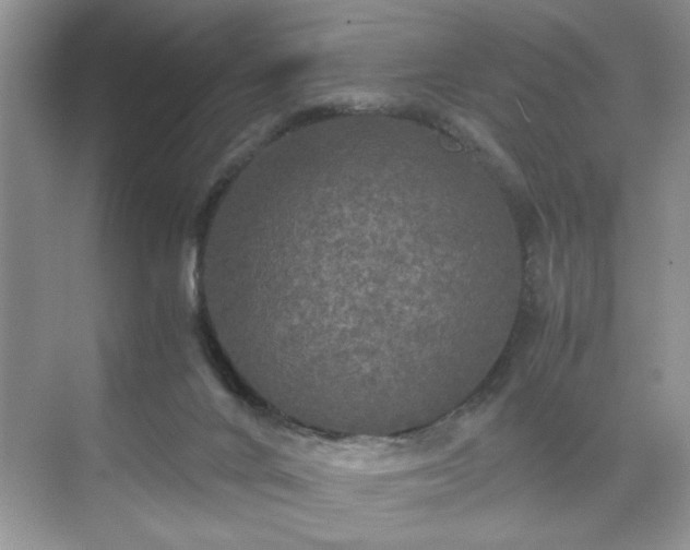 X0000071330024200606301612