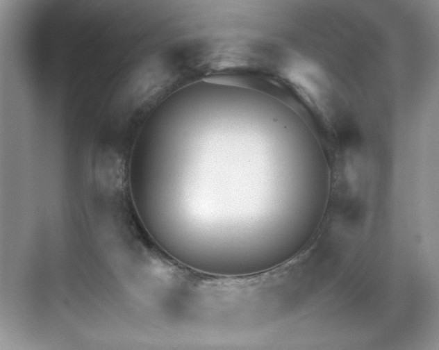 X0000071330025200606301612