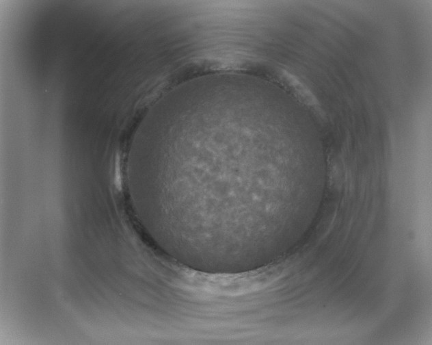 X0000071330026200606301612