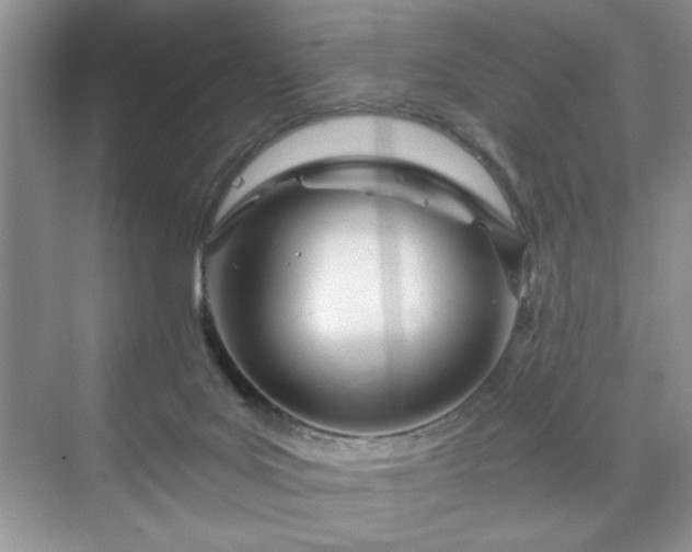 X0000071330027200606301612