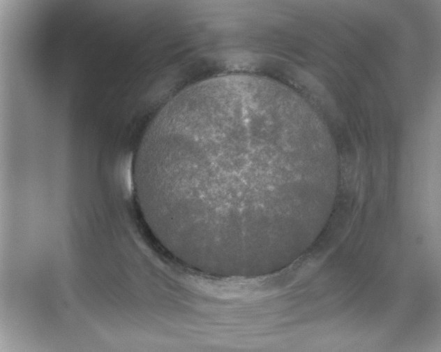 X0000071330028200606301612