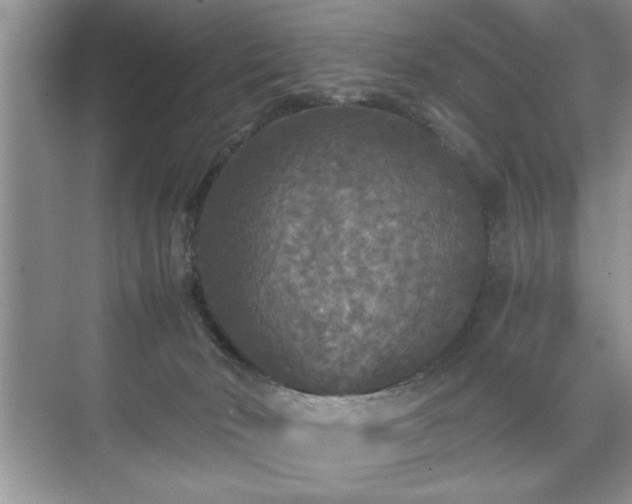 X0000071330030200606301612