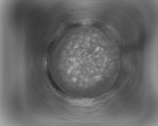 X0000071330032200606301612