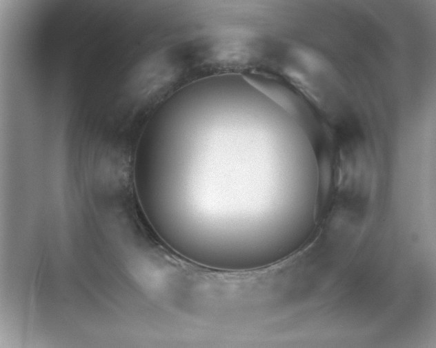 X0000071330033200606301612