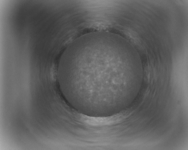 X0000071330034200606301612