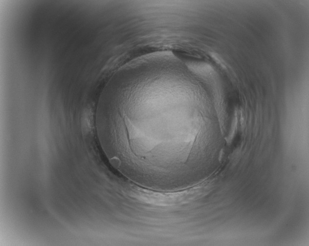 X0000071330035200606301612