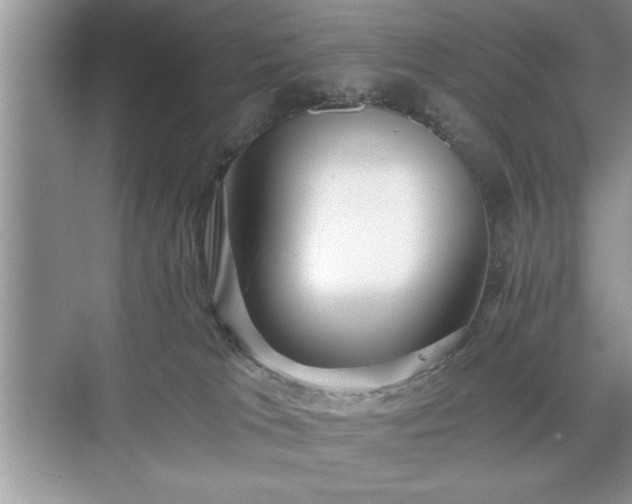 X0000071330037200606301612