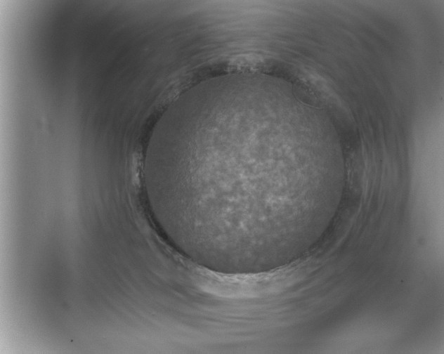 X0000071330038200606301612