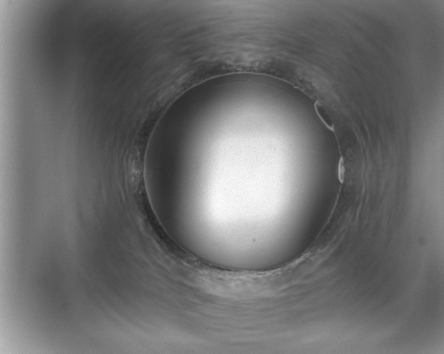 X0000071330040200606301612