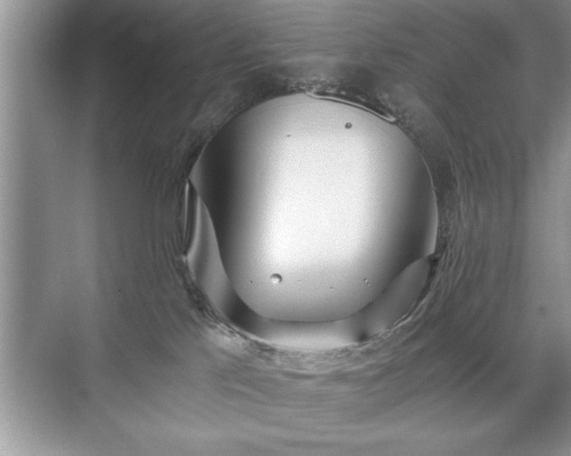 X0000071330041200606301612