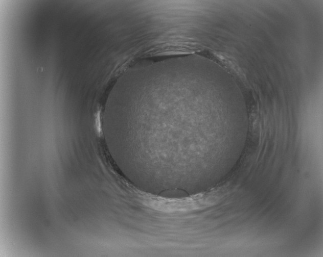 X0000071330042200606301612