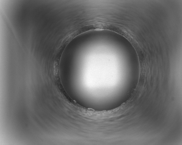 X0000071330043200606301612