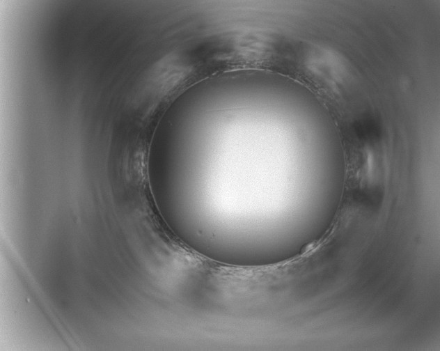 X0000071330045200606301612