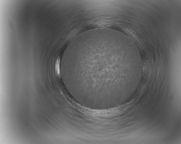 X0000071330046200606301612