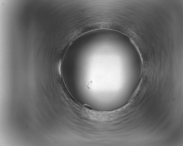 X0000071330047200606301612