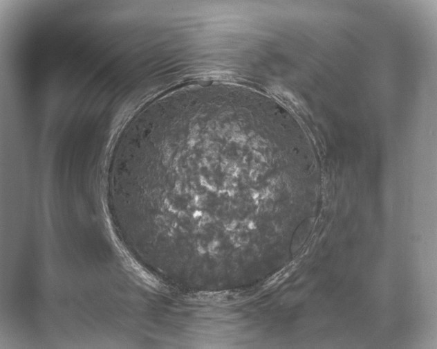 X0000071330049200606301611