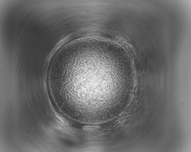 X0000071330051200606301611